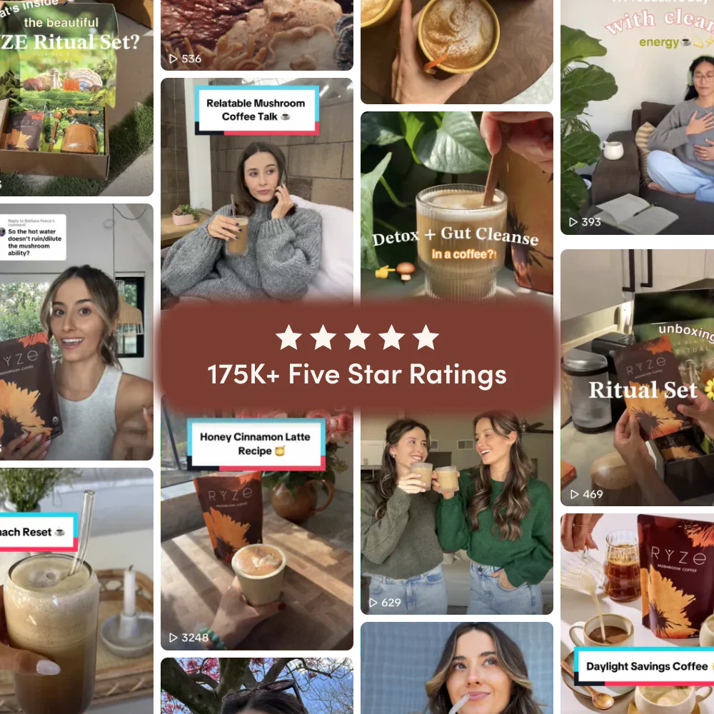 Dark Roast Starter Kit yy2w5r