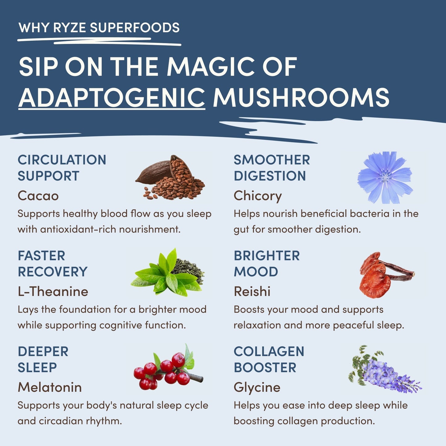 Mushroom Hot Cocoa nk2r4s
