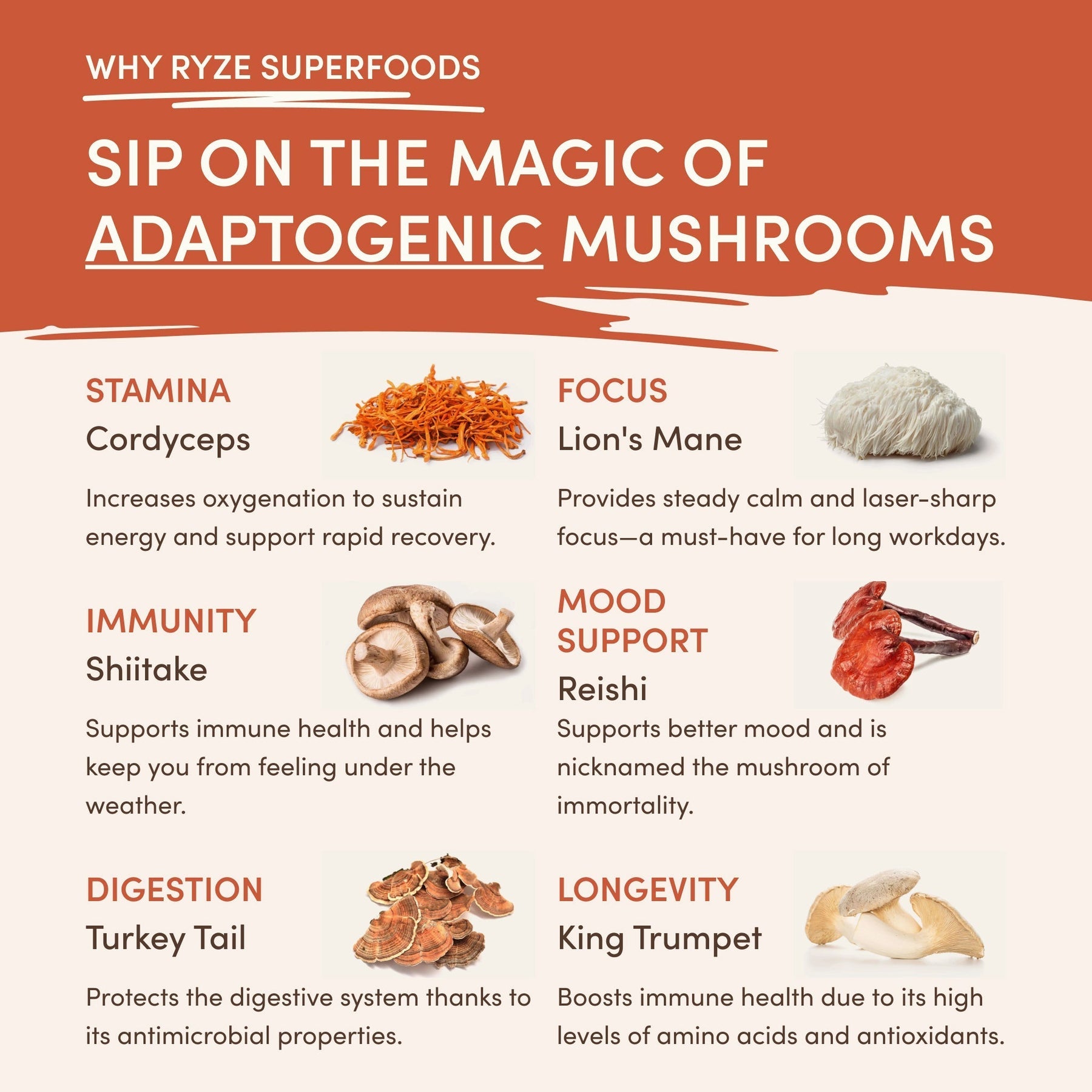 Superfood Creamer 2hespg