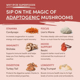 Mushroom Chai djuyr2