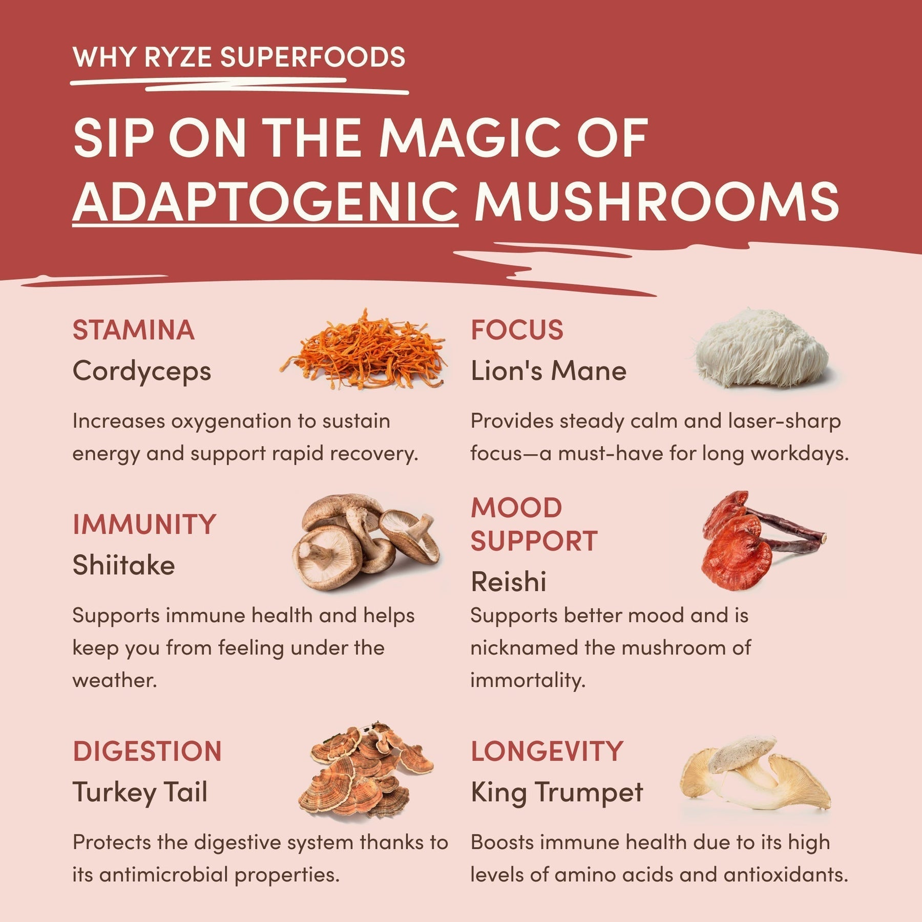 Mushroom Chai djuyr2